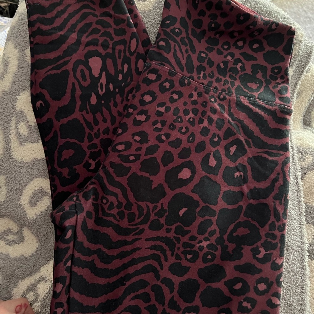 Bally leggings. EUC.